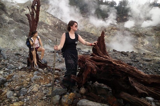 volcano hike and jungle trekking adventure - A Complete Look at the Volcano Hike and Jungle Trek Experience