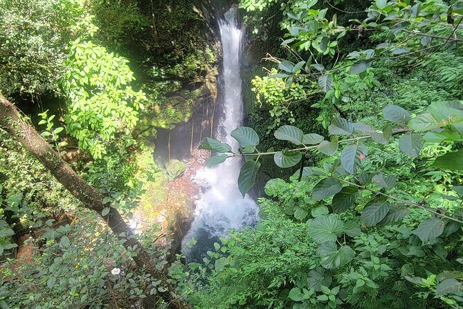 Volcano Hike, Oropendola Waterfall & Hot Springs Experience - Key Points