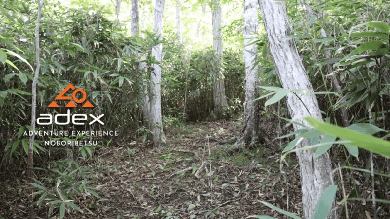 Volcano Hike with Pacific and Kuttara Lake Views - Volcano Hike with Pacific and Kuttara Lake Views: A Closer Look