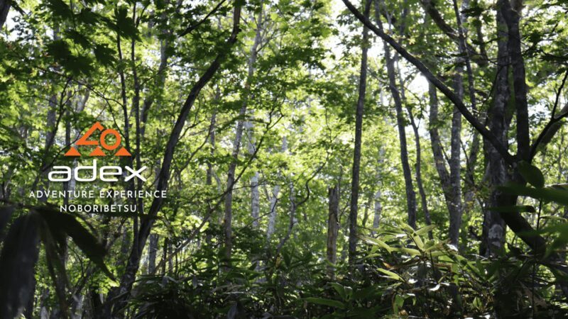 Volcano Hike with Pacific and Kuttara Lake Views - Final Thoughts