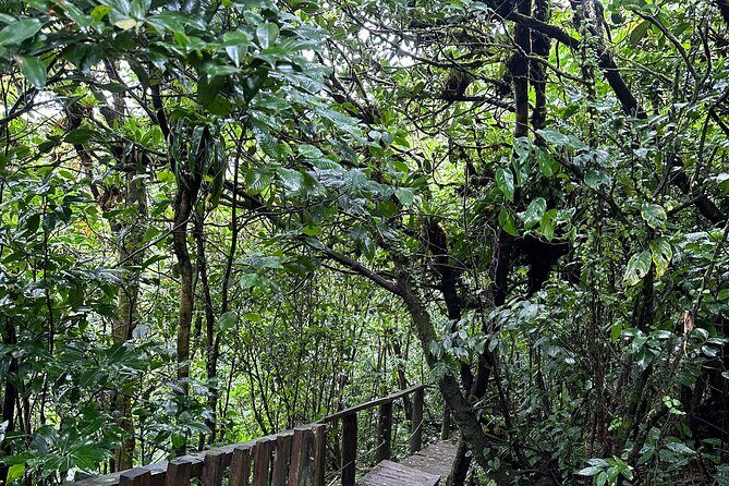 Volcano Mombacho Adventure in the Cloud Forest & Apoyo Lake - Practical Considerations