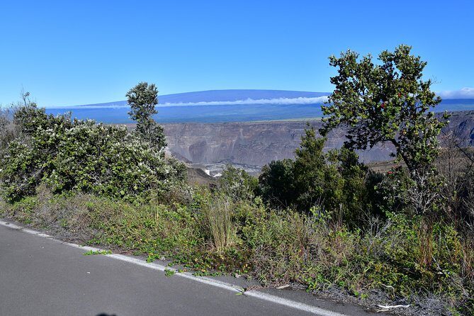 Volcano National Park Adventure From Kona - Who Should Take This Tour?