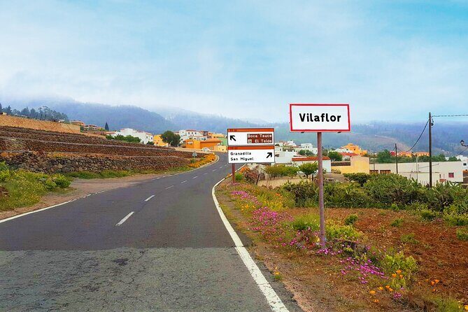 Volcano Teide National Park Guided Tour from Puerto de la Cruz - Tenerife North - Final Thoughts