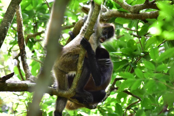 Volcano-Waterfall and Hot Springs Combo ( Private) - FAQ