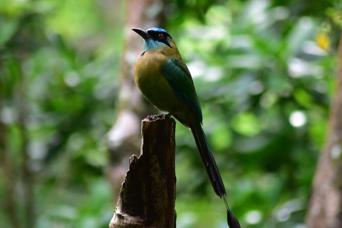 Volcano-Waterfall and Hot Springs Combo ( Private) - Key Points