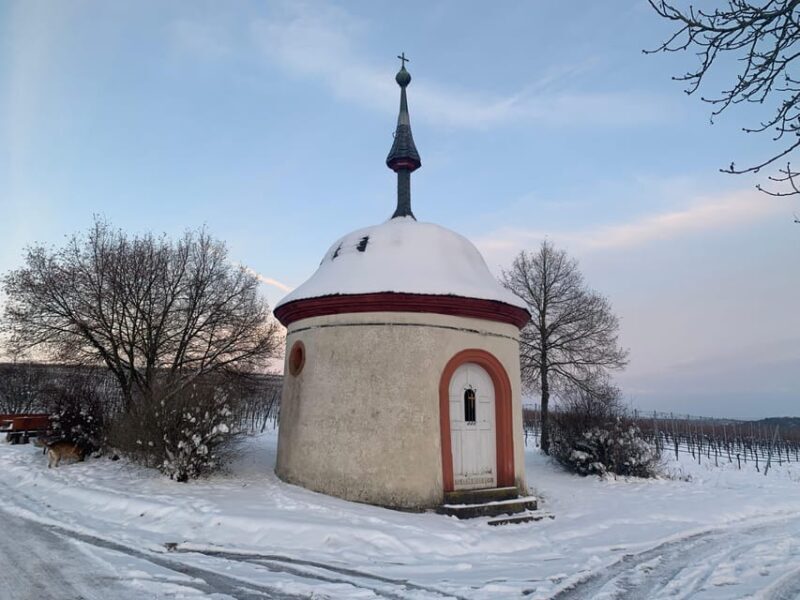 Volkach/Fahr: Wine Spirit Rebellion wine hike - A Detailed Look at the Wine Spirit Rebellion Tour
