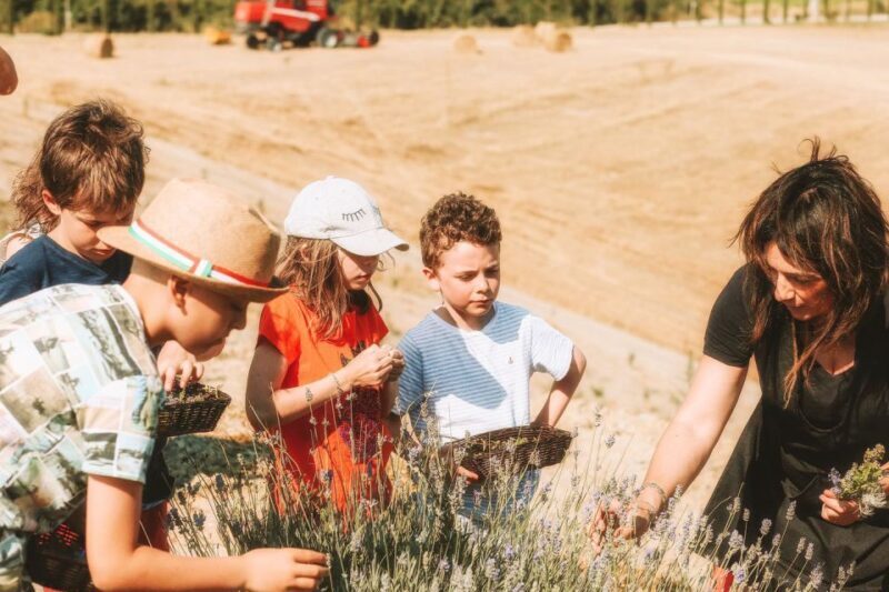 Volterra: Family-Friendly Herbal Laboratory Workshop - Key Points