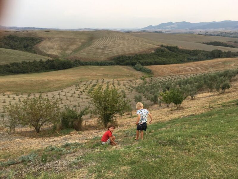 Volterra: Family-Friendly Herbal Laboratory Workshop - The Sum Up