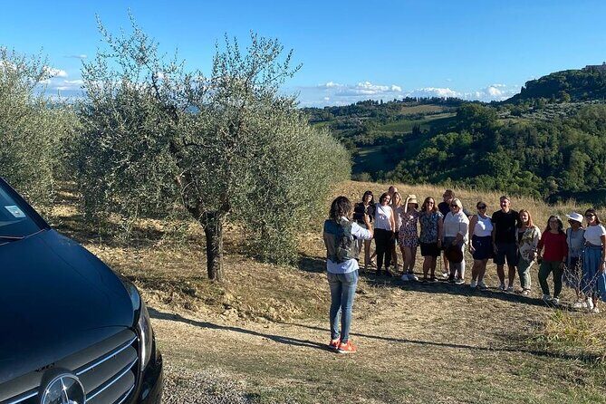 Volterra Tour + Salt Mine by van from Lucca, Pisa or Livorno Port - Key Points