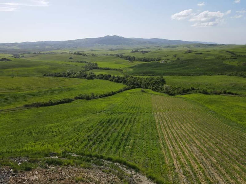 Volterra: Winery Guided Tour and Experience with Tasting - A Detailed Look at the Experience