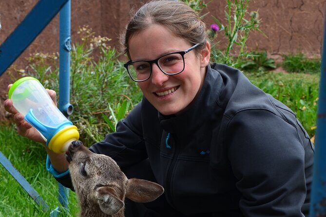 Voluntering at the Cochahuasi Sanctuary - A meaningful way to spend part of your Cusco trip: volunteering at Cochahuasi Sanctuary