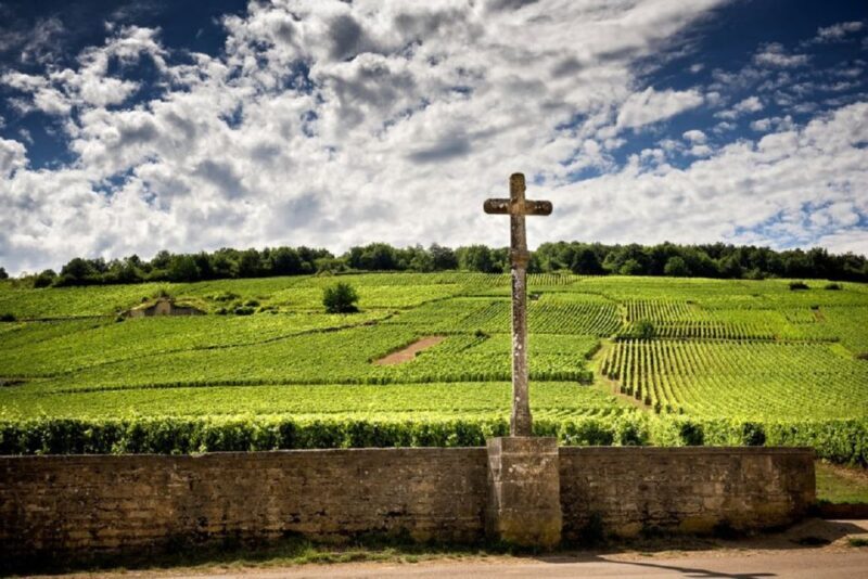 Vosne-Romanée: Private Vineyards Walking Tour with Tasting - A Deep Dive into the Burgundy Vineyards Experience
