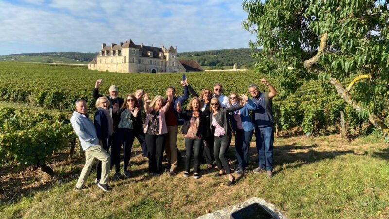 Vosne-Romanée: Private Vineyards Walking Tour with Tasting - Final Thoughts
