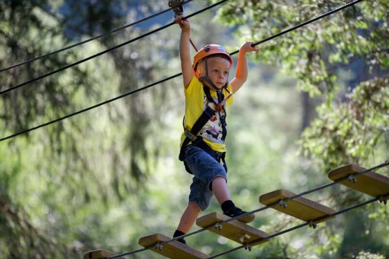 Voss High Rope Course: Mini & Micro Course - What You Can Expect During Your Visit