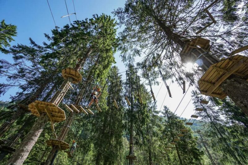 Voss High Rope Course: Mini & Micro Course - Transportation, Timing, and Practical Tips