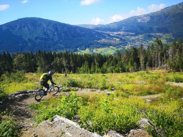 Voss - Mountain Bike  Bømoem Forest - The Sum Up: Who Should Consider This Tour?