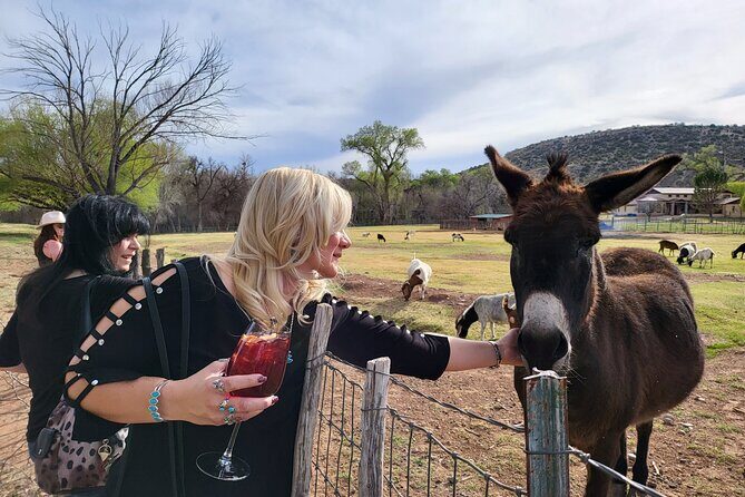 Voted Best in Sedona-Cheapest Private Wine Tour in town! - A Closer Look at the Sedona Private Wine Tour Experience
