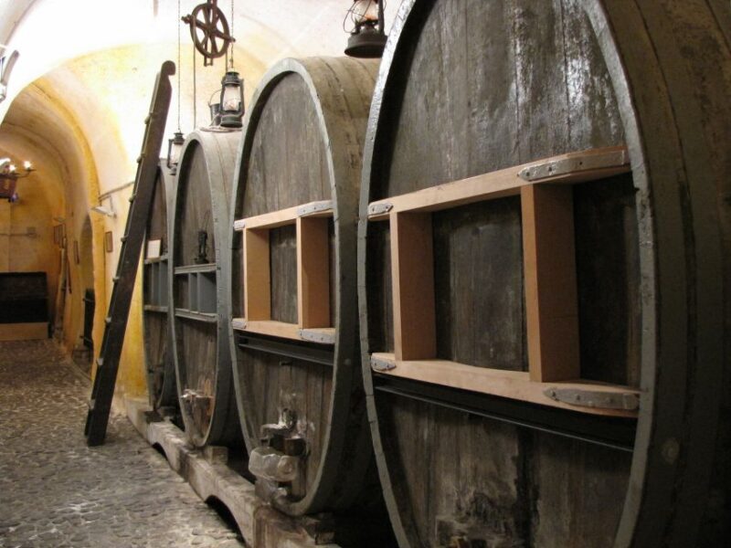 Vothonas: Wine Museum Ticket with Tastings and Audio Guide - In Summary: Who Should Consider This Tour?