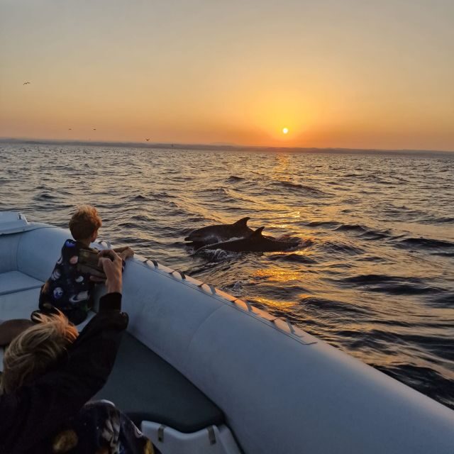 Vrsar: Dolphin Sunrise Adventure with Speedboat - The Sum Up: Is It Worth It?