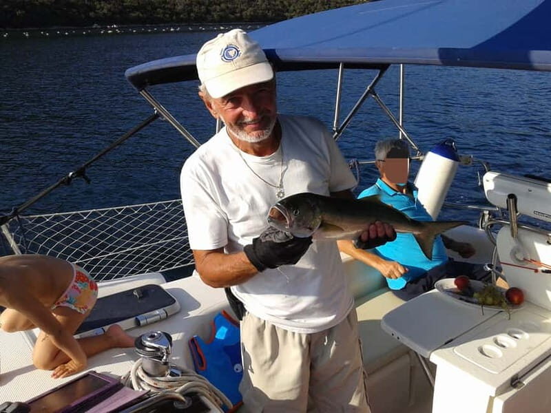Vrsar: Dolphin Watching and Sightseeing Private Day Cruise - Who is this tour best suited for?