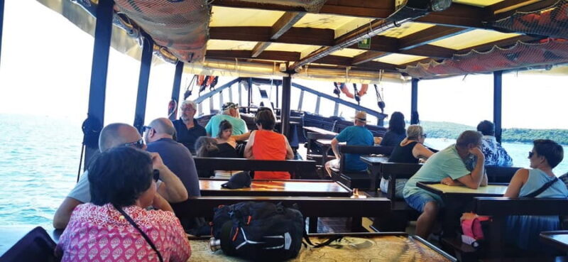 Vrsar: Dolphin Watching Boat Ride - Price and Value