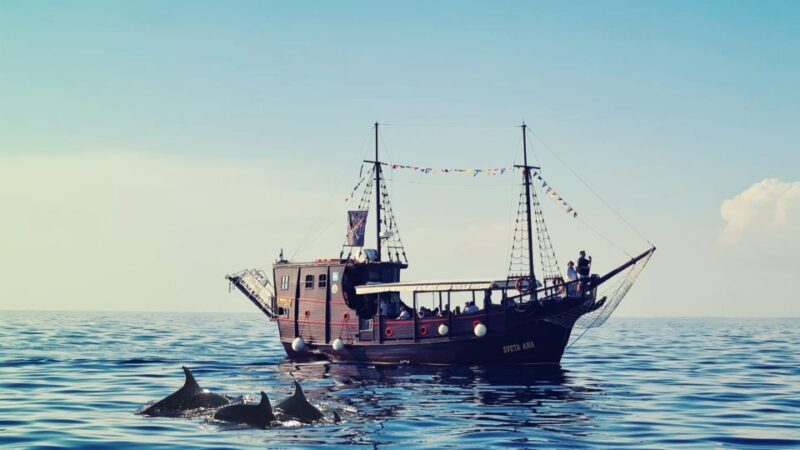 Vrsar: Dolphin Watching Boat Ride - Who Will Love This Tour?
