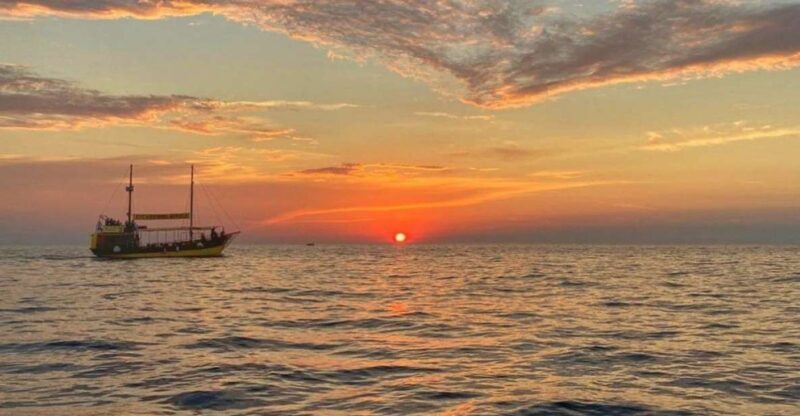 Vrsar: Dolphin Watching Boat Tour including Drinks - Who Is This Tour Best For?