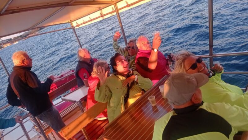 Vrsar: Dolphin Watching Boat Tour including Drinks - Drinks and Relaxation