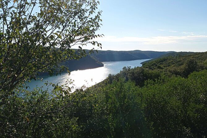 Vrsar, Lim Fjord and Rovinj Day Tour by Boat with Drinks - Key Points