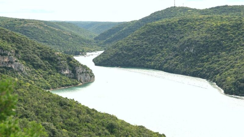Vrsar: Lim Fjord Boat Tour with Swimming near Pirate's Cave - FAQ