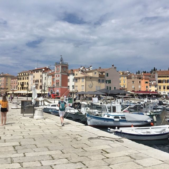 Vrsar: Lim Fjord - Rovinj Fish Picnic - Who Should Consider This Tour?