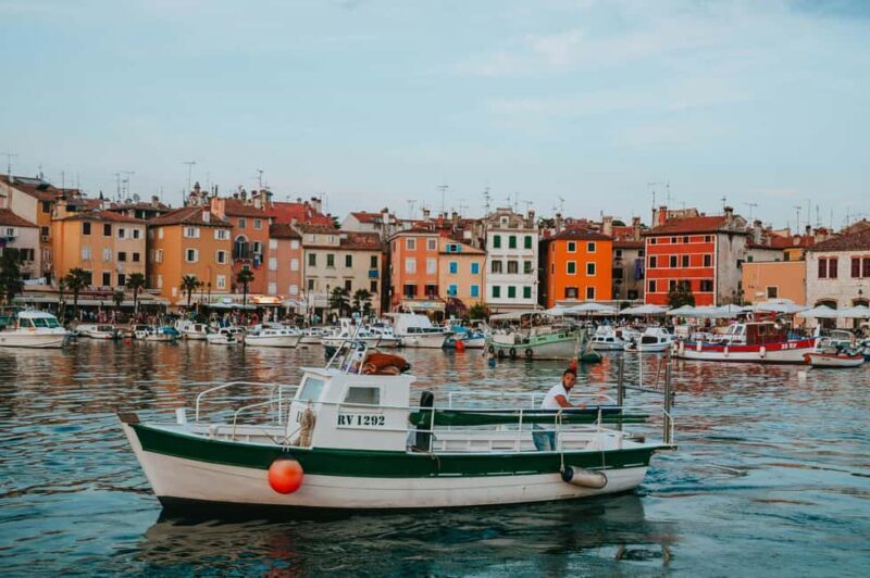 VRSAR: Night Boat Tour to Rovinj with Dolphin Watching - Who Will Love This Tour?