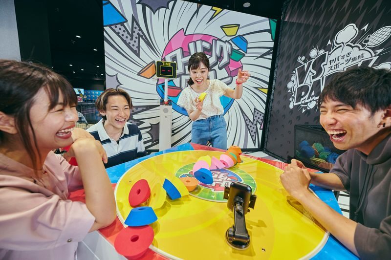 VS PARK AEON MALL Shinrifu South Store Ticket in Miyagi - What you can expect to play