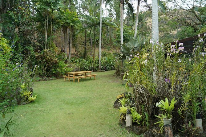 Vuda Lookout, Vesisei Village, Market, Temple & Garden of Sleeping Giant Tour - The Experience: What to Expect and How It Feels