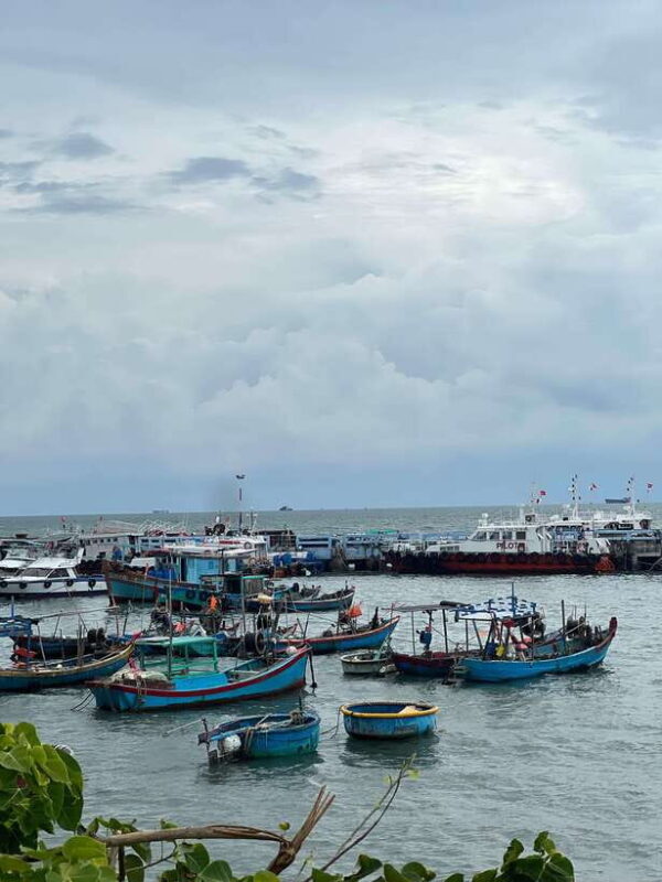 Vung Tau City Sightseeing Private Tour From Ho Chi Minh City - What’s Included and What to Keep in Mind