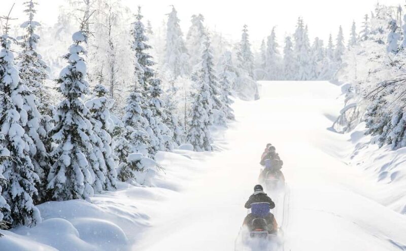 Vuokatti: Snowmobile Safari with Snacks and Hot Drinks - A Genuine Look at the Snowmobile Safari Experience in Vuokatti