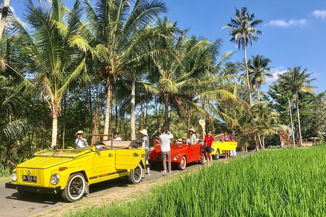 VW Safari,Bayan Ancient Tree,Jatiluwih,Wanagiri,Banyumala Twin Waterfalls - What Sets This Tour Apart?