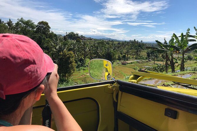 VW Safari,Bayan Ancient Tree,Jatiluwih,Wanagiri,Banyumala Twin Waterfalls - Final Thoughts: Why Choose This Tour?