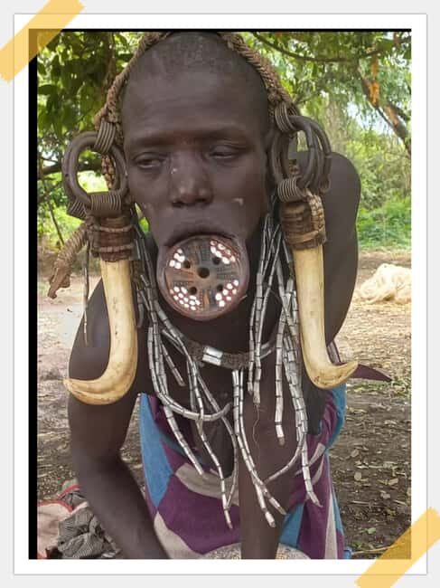 VW T2 Bulli rental for a weekend 3 days/2 nights - A Classic Journey: Exploring the VW T2 Bulli Rental Experience