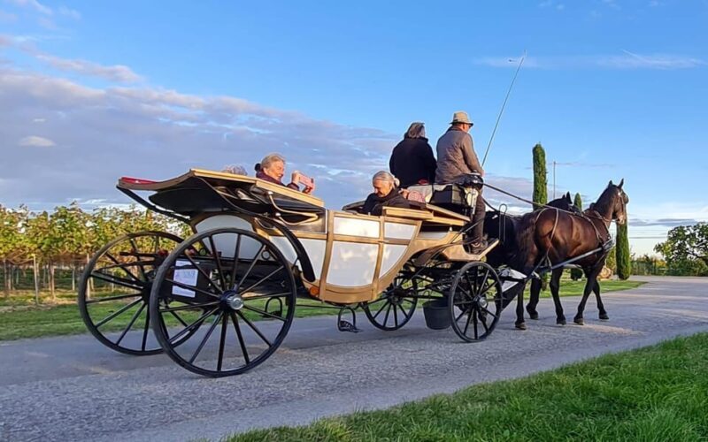 Wachau porcelain carriage A sparkling carriage ride through the vineyards - Key Points