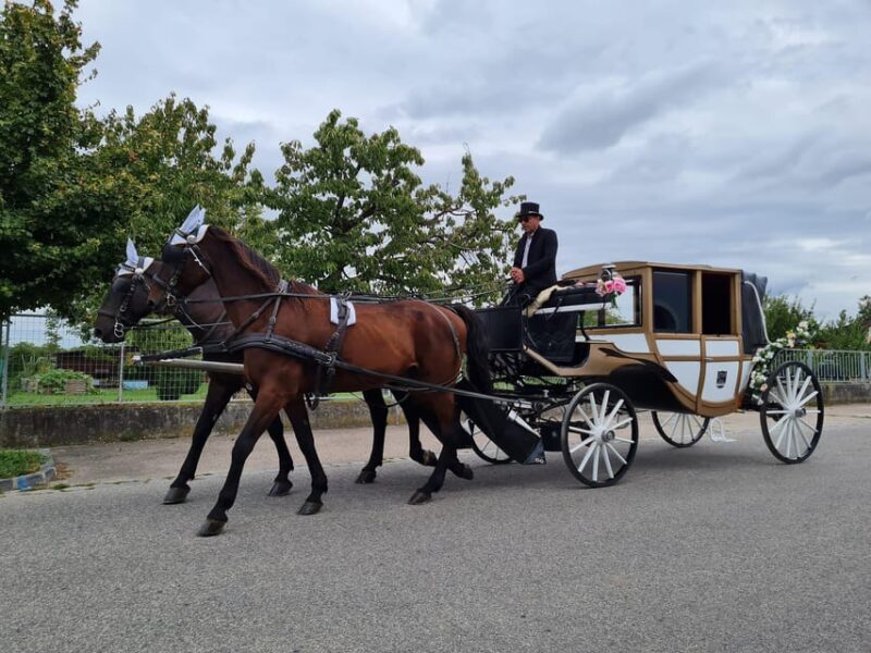 Wachau porcelain carriage A sparkling carriage ride through the vineyards - An In-Depth Look at the Wachau Porcelain Carriage Experience