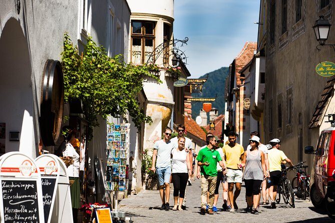 Wachau Valley Private Tour With Melk Abbey Visit and Wine Tastings from Vienna - Who Will Love This Tour?
