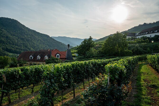 Wachau Valley Vines: A Culinary and Cultural Private Experience - Who Will Love This Tour?