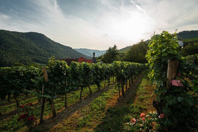 Wachau Valley Vines: A Culinary and Cultural Private Experience - FAQ