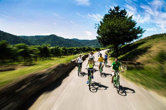 Wachau Valley Wine Tasting Bike Tour from Vienna - Lunch and Final Winery