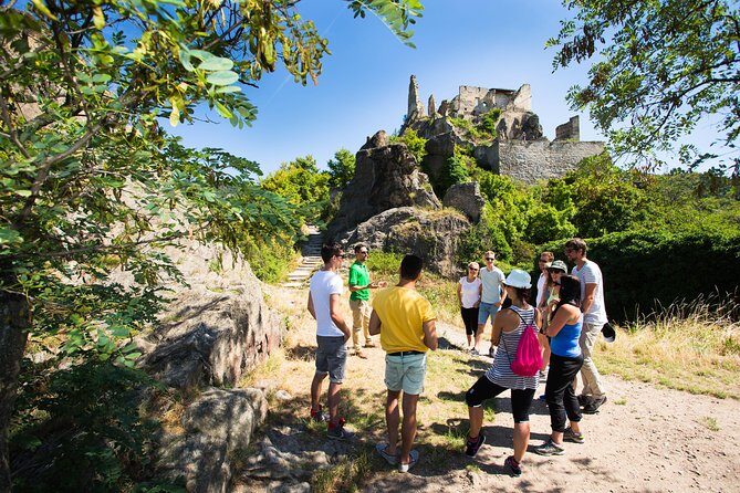 Wachau Valley Wine Tasting Bike Tour from Vienna - Reviews Highlighting the Experience