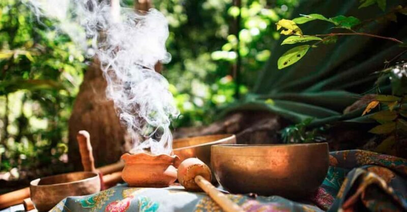 Wachuma Retreat + Ayahuasca+5 ancestral techniques, 2D (VIP) - Final Thoughts