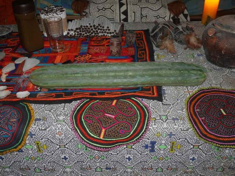 Wachuma (San Pedro) and Ayahuasca Retreat 4D - Private - A Deep Dive into the Cusco Sacred Plant Retreat