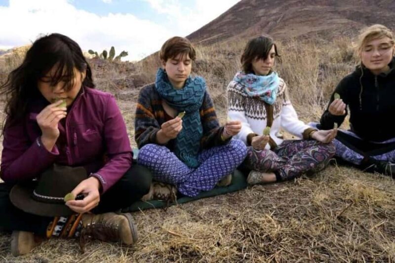 Wachuma (San Pedro) Ceremony 1 Day - shared - private - The Sum Up