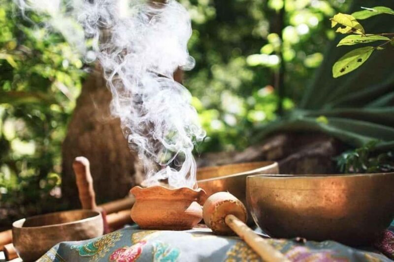 Wachuma+Ayahuasca Retreat, 2 Days - Intermediate Package - Key Points